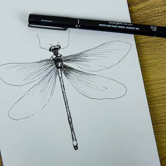 uni-pin-drawing-techniques-5.jpg?sw=554&q=85