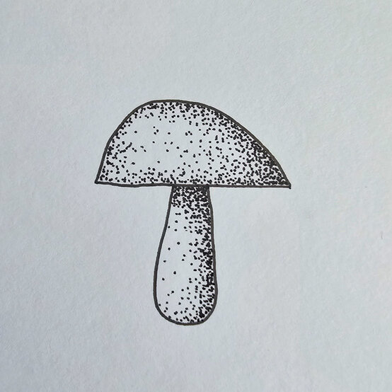 idea%5Fmushroom%2Dfineliner%2Dillustrations%2Dhypholoma%5Fstep%2D1.jpg?sw=554&q=85
