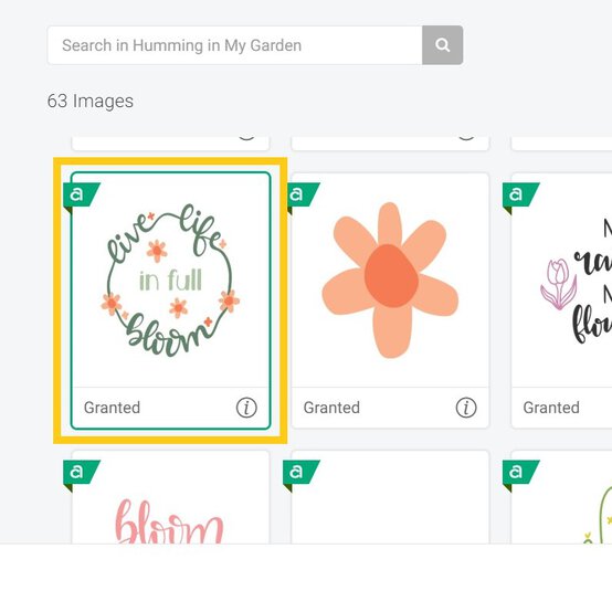 planter-step-2_4.jpg?sw=554&q=85