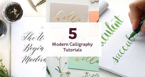 header3.jpg?sw=554&q=85