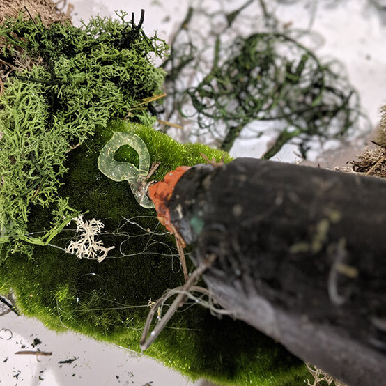 moss-spring-easter-wreath-6.jpg?sw=554&q=85