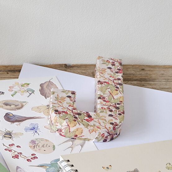 diary-of-an-edwardian-lady_decoupage-letter.jpg?sw=554&q=85