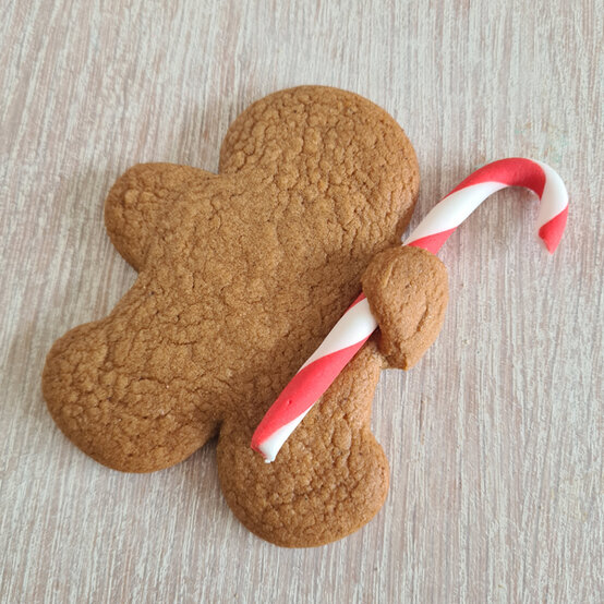 idea_christmas-gingerbread-people_step8a.jpg?sw=554&q=85