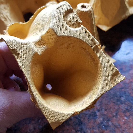 egg_box_cupcakes_1.jpg?sw=554&q=85