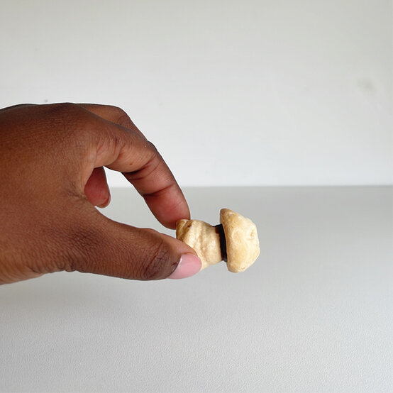 idea_christmas-botanical-yule-log_step3b.jpg?sw=554&q=85