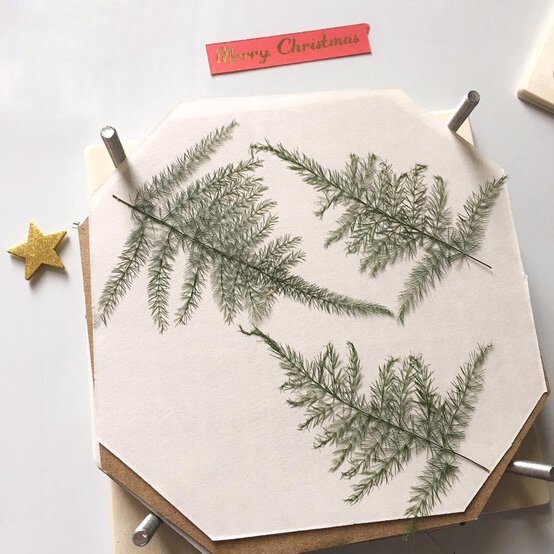 image-4.jpg?sw=554&q=85