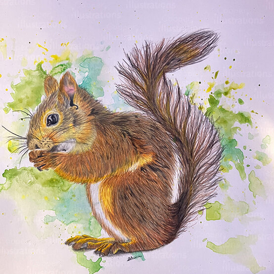 artisan-chloe-cooper-squirrel.jpg?sw=554&q=85