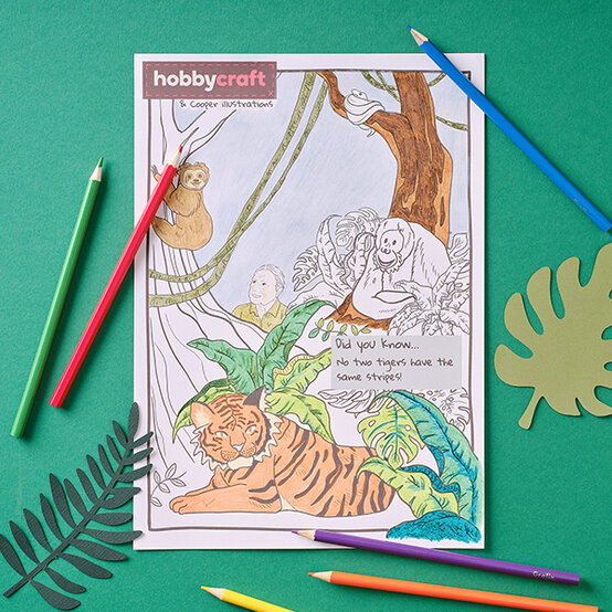 jungle-colouring-sheet.jpg?sw=554&q=85