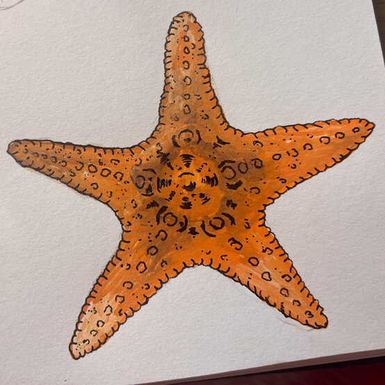 idea%5Fhow%2Dto%2Dillustrate%2Dwith%2Dpaint%2Dmarkers%2Dstarfish%5Fstep9.jpg?sw=554&q=85