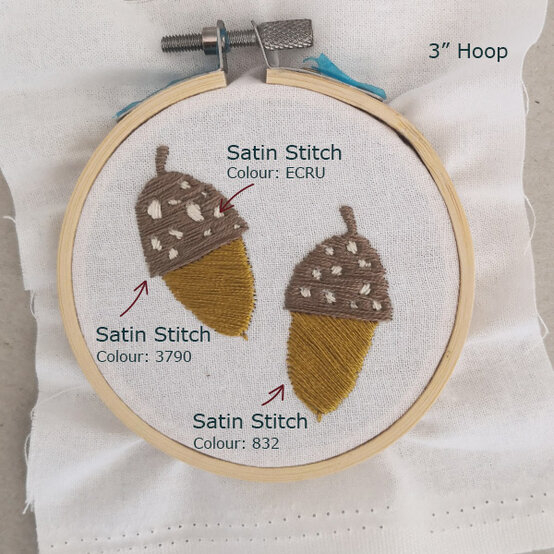 acorns.jpg?sw=554&q=85