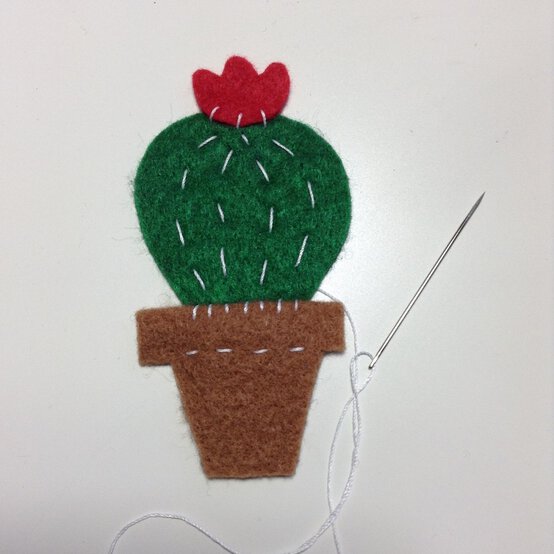 cactus-2.jpg?sw=554&q=85