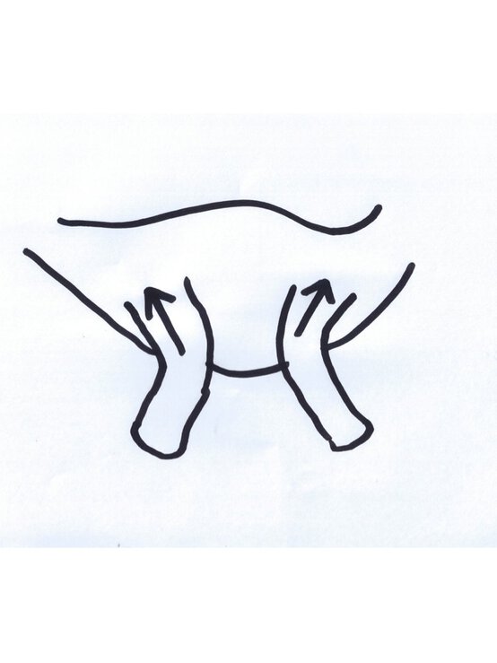 slide38.jpg?sw=554&q=85