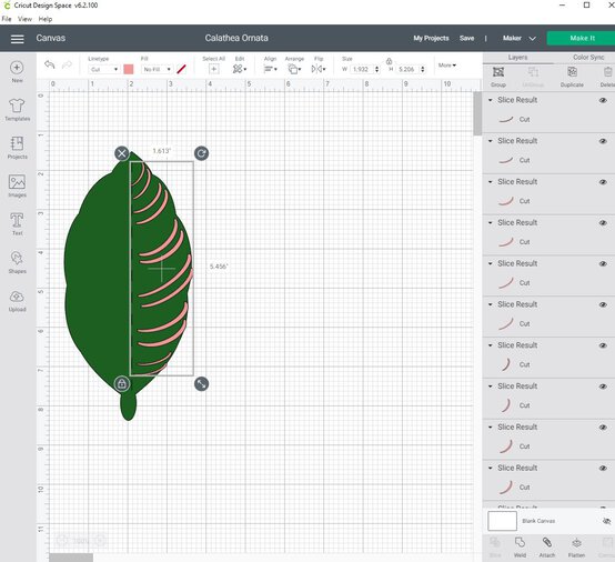 cricut_how_to_make_a_paper_calathea_ornata_plant_step8_3.jpg?sw=554&q=85