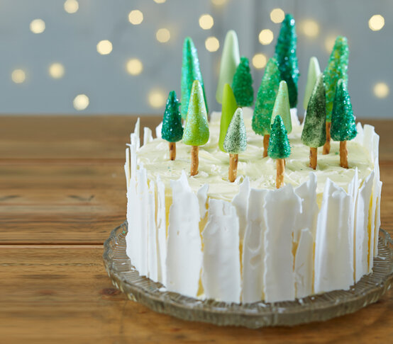 ice-forest-cake.jpg?sw=554&q=85