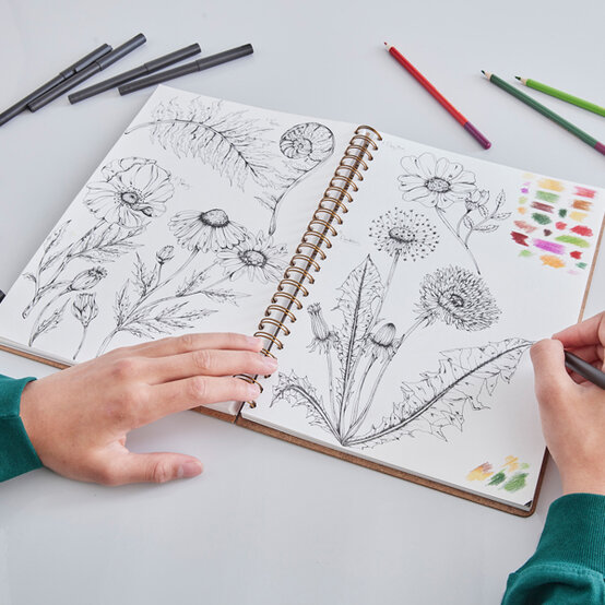 idea_get-started-in-drawing_botanical.jpg?sw=554&q=85