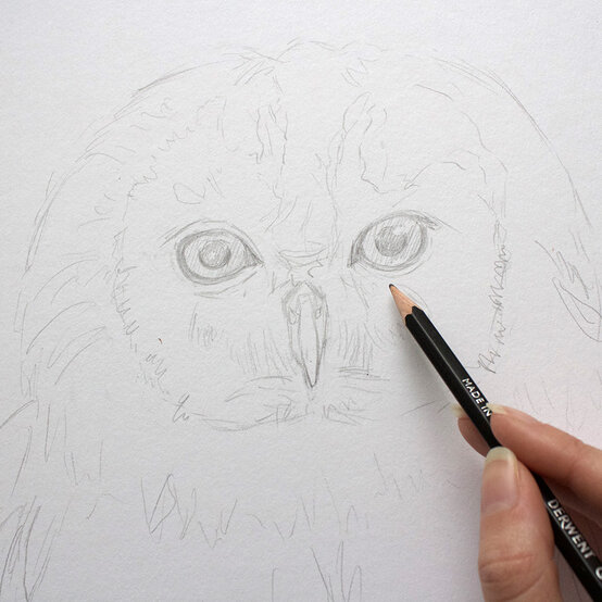 how_to_paint_acrylic_owl_drawing_1.1-1000-pixels.jpg?sw=554&q=85