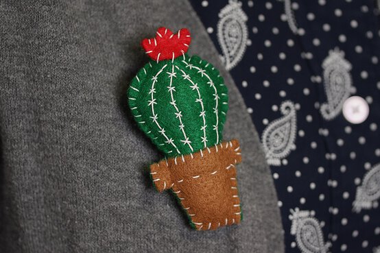 cactus-pin_blog-3.jpg?sw=554&q=85