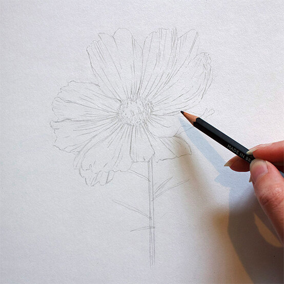 get-started-in-drawing-step2.jpg?sw=554&q=85