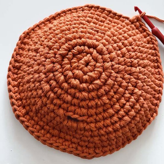 how%2Dto%2Dcrochet%2Da%2Dtoadstool%2Dbag%5Fcap%5F1.jpg?sw=554&q=85