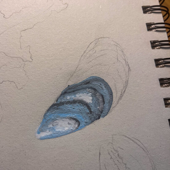idea%5Fhow%2Dto%2Dillustrate%2Dwith%2Dpaint%2Dmarkers%2Dmussel%5Fstep3.jpg?sw=554&q=85