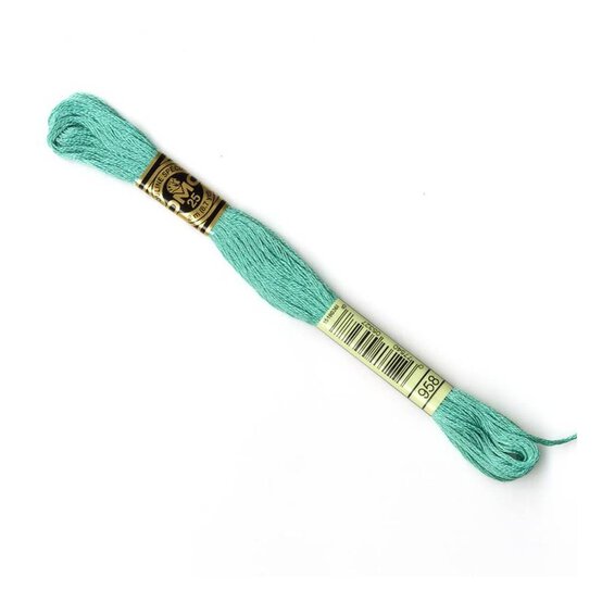 DMC Green Mouline Special 25 Cotton Thread 8m (958) image number 1