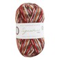 West Yorkshire Spinners Robin Signature 4 Ply Yarn 100g image number 1