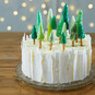 How to Make an Ice Forest Christmas Cake image number 1