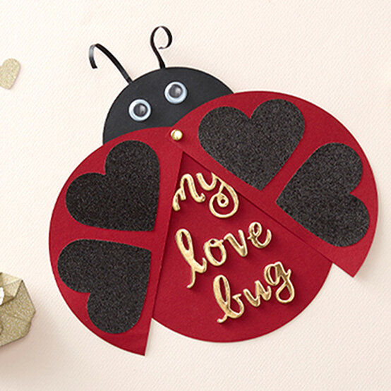 How to Make a Ladybird Valentine's Day Card image number 1