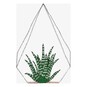 FREE PATTERN DMC Aloe Cross Stitch 0325 image number 1