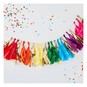Ginger Ray Rainbow Tassel Garland 1.5m image number 2