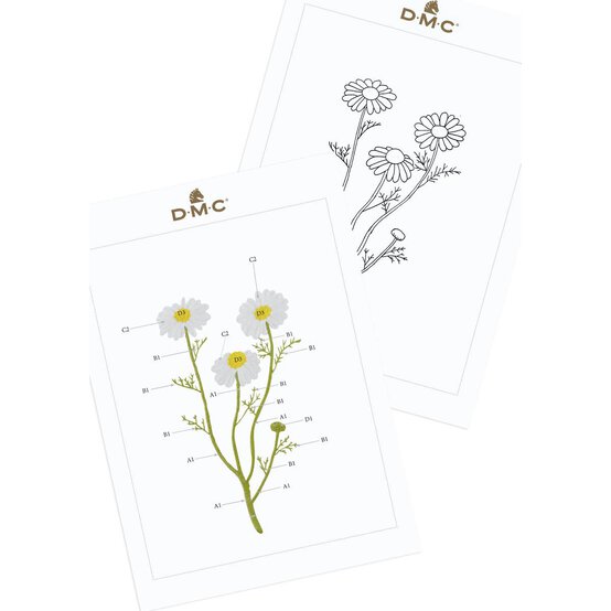 FREE PATTERN DMC Camomile Embroidery 0321 image number 6