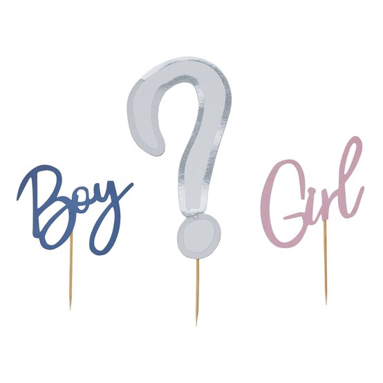 Gender Reveal Cake Topper Set  image number 1