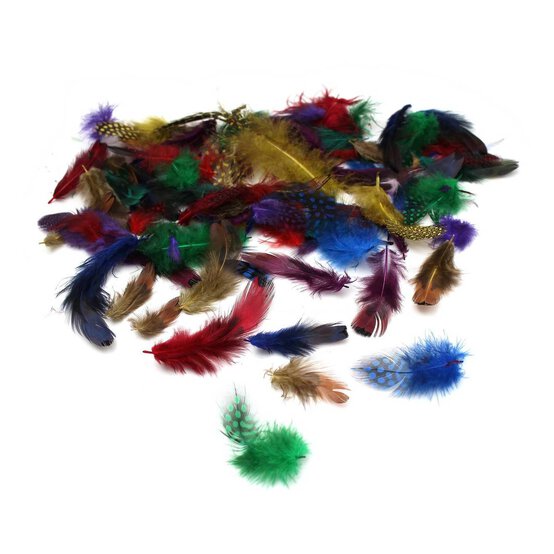 Coloured Luxury Feathers 5g image number 1