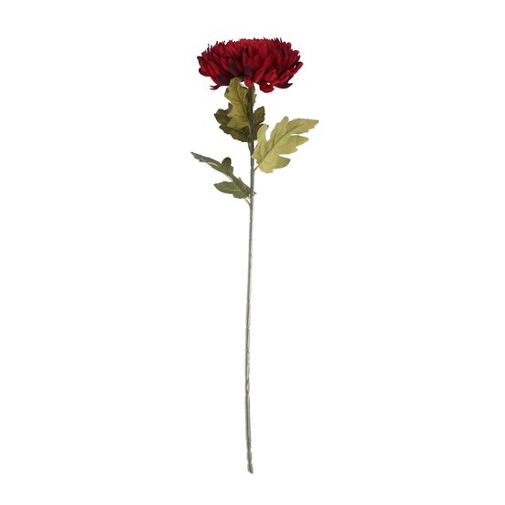 Orange Chrysanthemum 78cm x 20cm image number 1