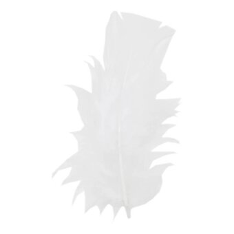 White Craft Feathers 5g