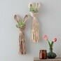 How to Make Macrame Bunny Plant Pods image number 1