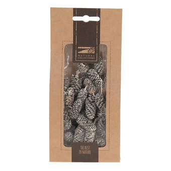 Birch Pine Cones 50 g