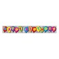 Happy Birthday Party Banner 12cm x 102cm image number 1