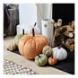 Rust Plush Pumpkin 22cm image number 3