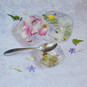 How to Make Botanical Ice Blocks image number 1