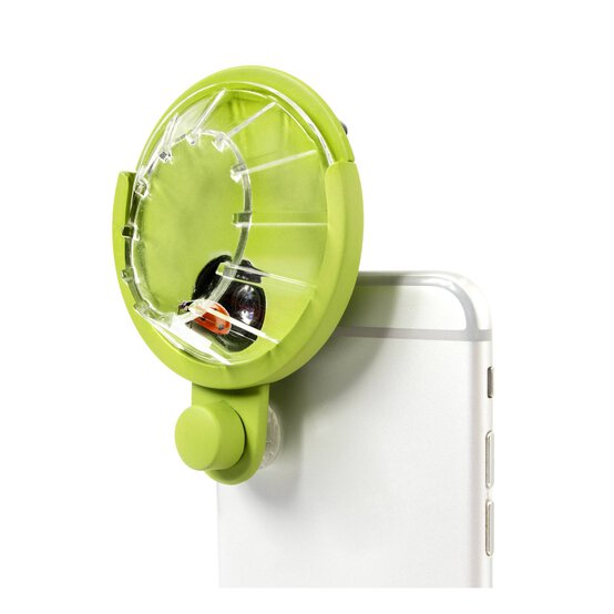 My Living World Bug Photography image number 2