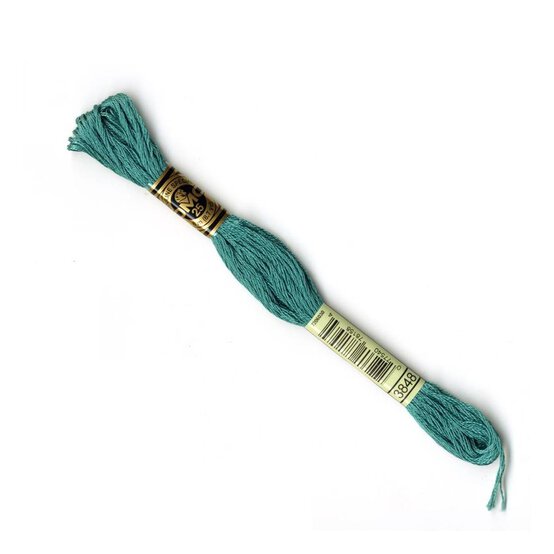 DMC Green Mouline Special 25 Cotton Thread 8m (3848) image number 1