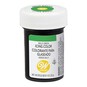 Wilton Kelly Green Icing Colour 28.3g image number 1