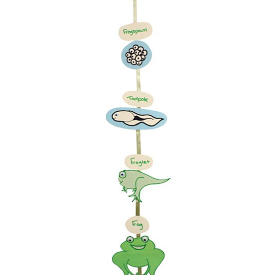 How to Make a Frog Lanyard image number 1
