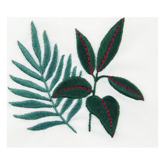 FREE PATTERN DMC Rubber Plant and Fern Embroidery 0001