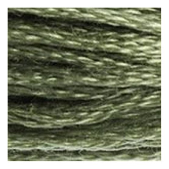 DMC Green Mouline Special 25 Cotton Thread 8m (3052) image number 2