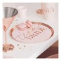 Ginger Ray Rose Gold Team Bride Paper Plates 8 Pack image number 1