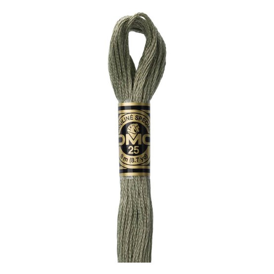 DMC Green Mouline Special 25 Cotton Thread 8m (3022) image number 1