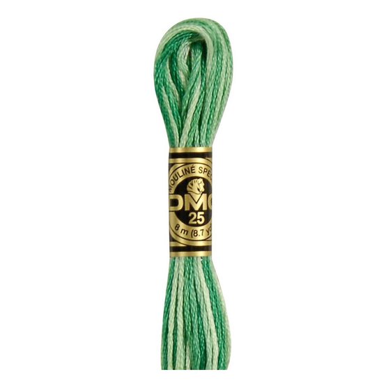 DMC Green Mouline Special 25 Cotton Thread 8m (125) image number 1