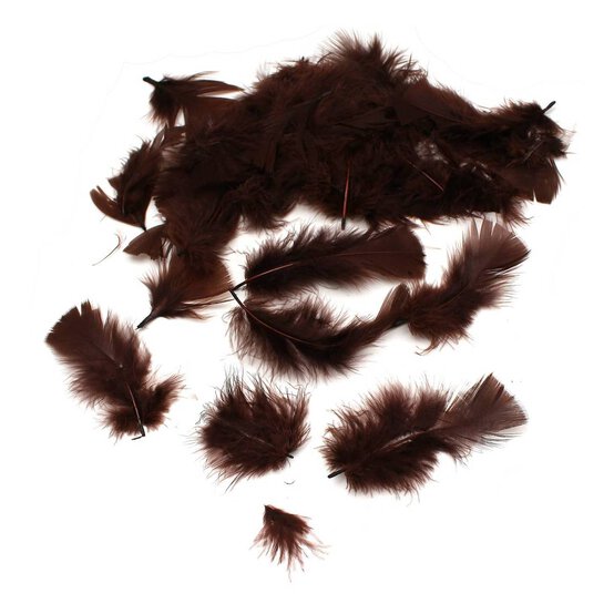 Brown Craft Feathers 5g image number 1